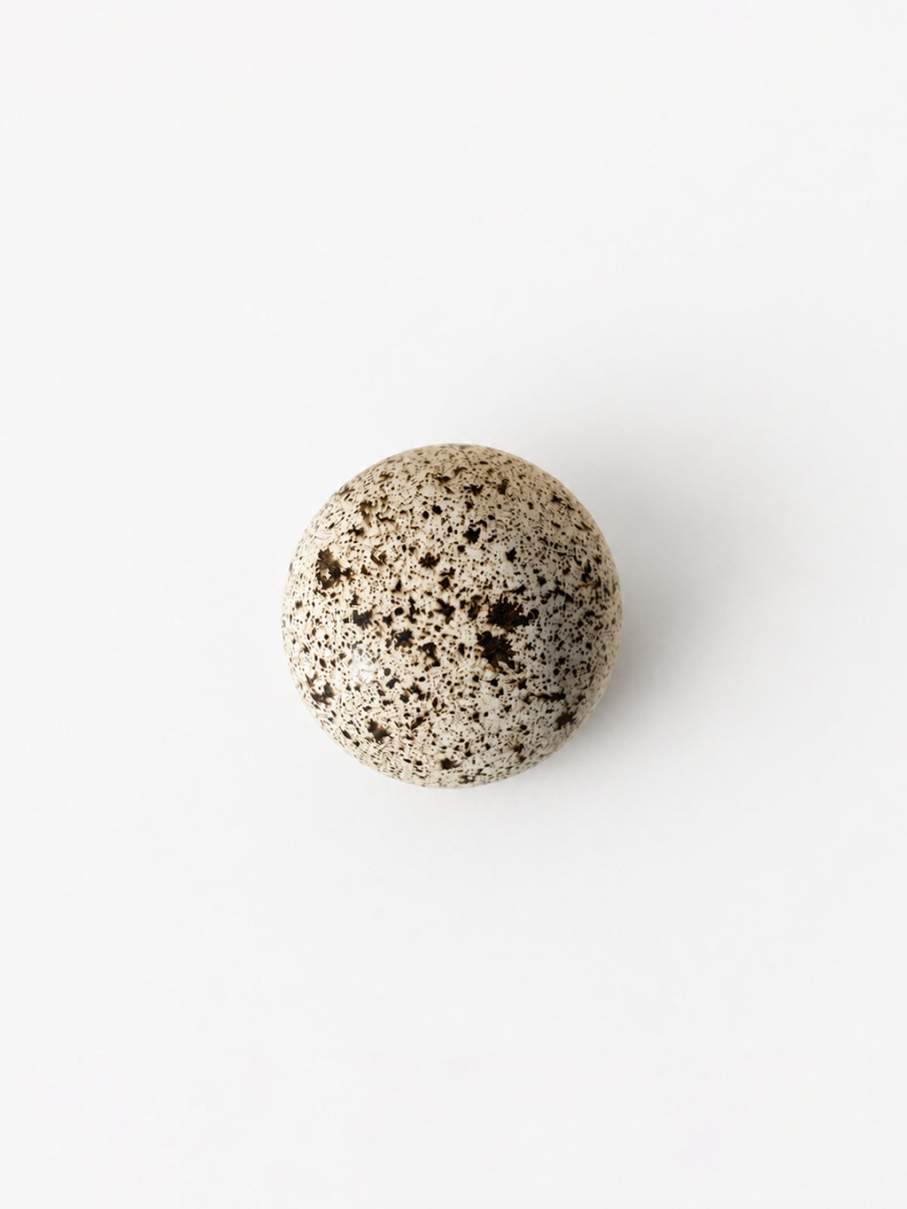 Orb Speckled Egg
