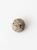 Orb Speckled Egg
