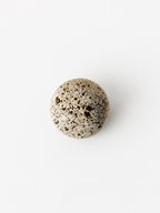 Orb Speckled Egg