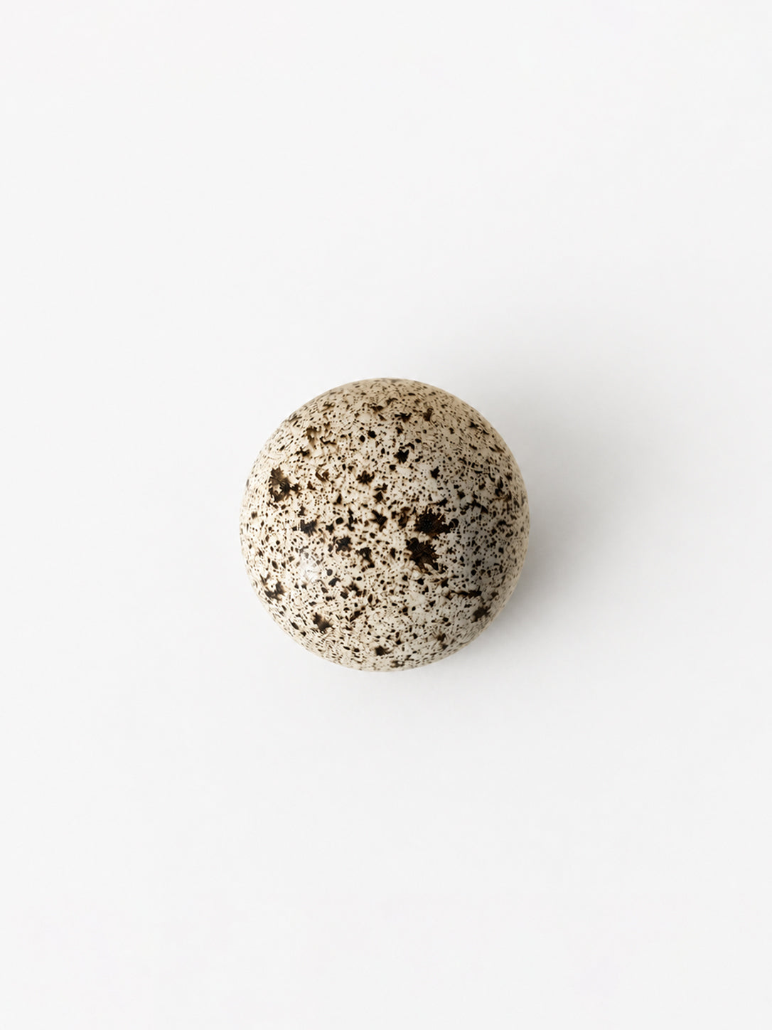 Orb Speckled Egg