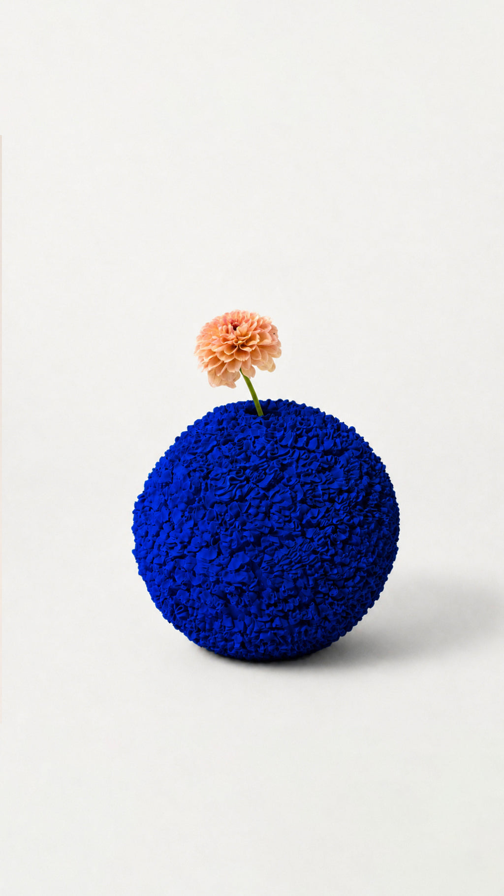 Celosia Vase No.1