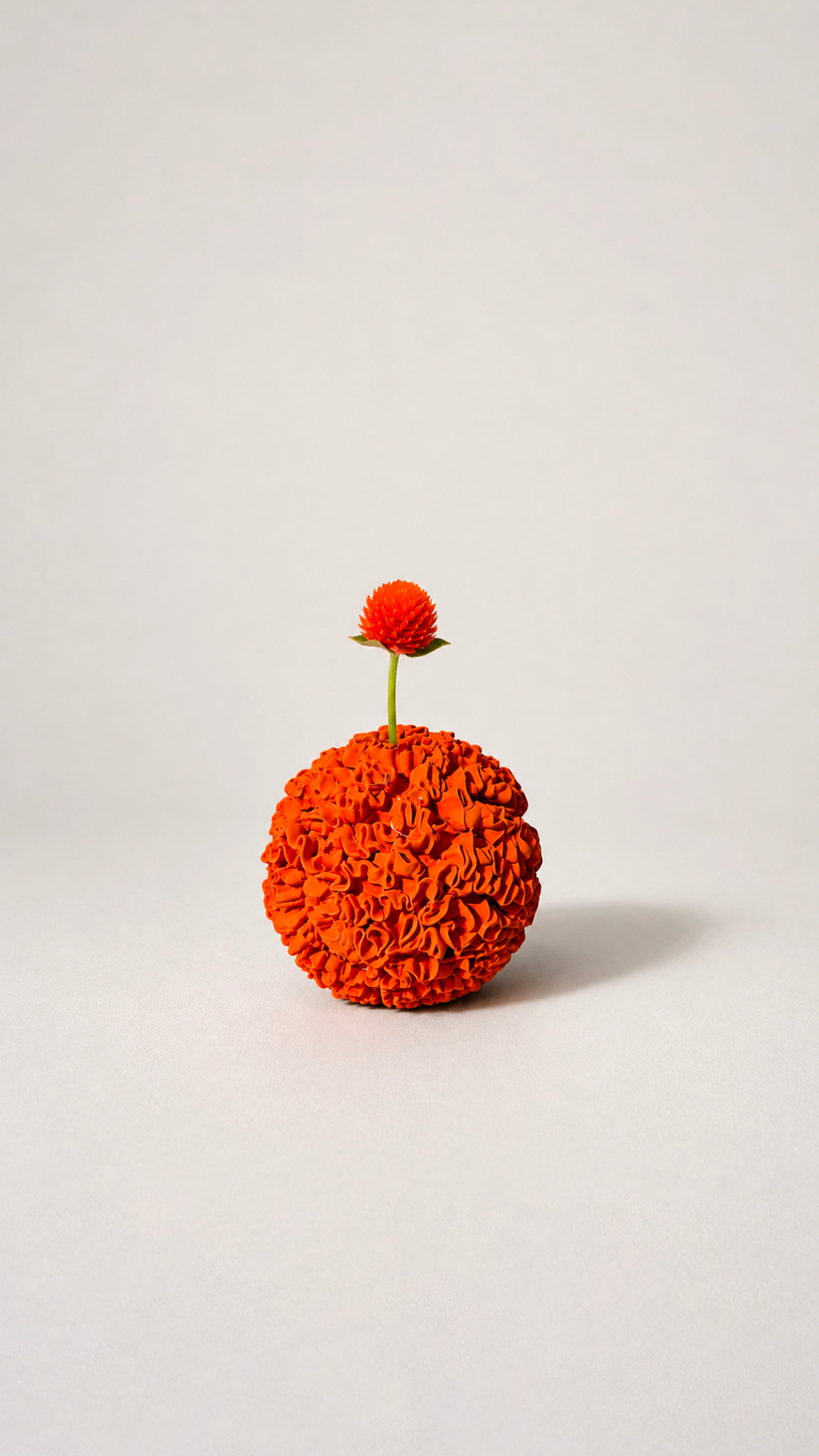 Celosia Vase No.3