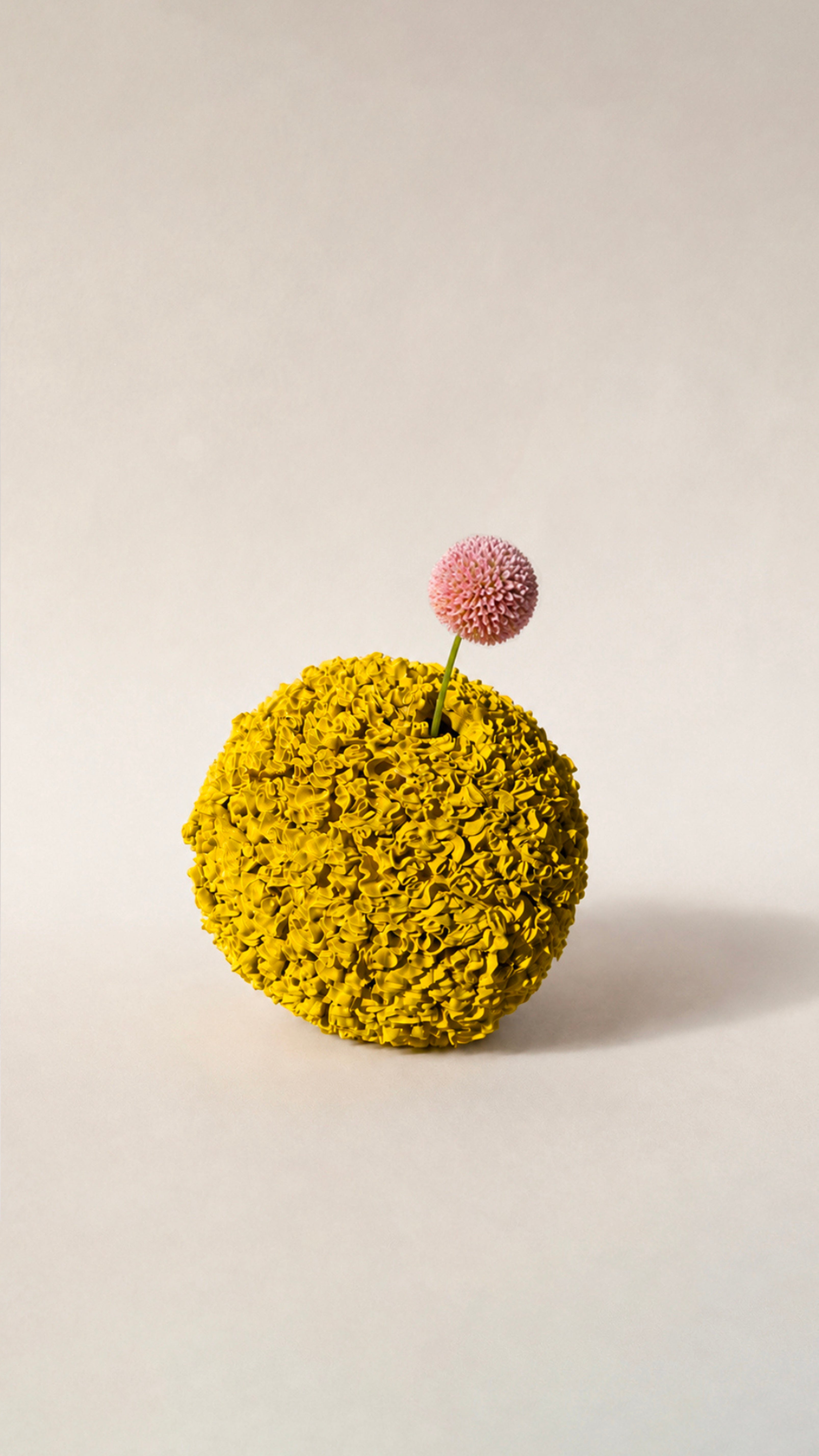 Celosia Vase No.2